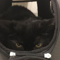 Maggie Browning Photo 21