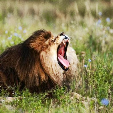 Martin Potter Photo 18