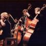 Carol Willis Photo 30