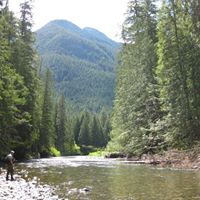 Dana Andersen Photo 23