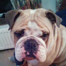 Michelle Duggan Photo 13