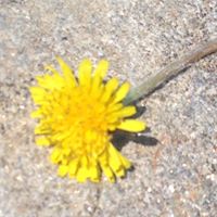 Michele Olson Photo 10 Michele Olson Photo 10