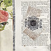 Kelly Holtz Photo 22