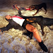 Bruce Bush Photo 16