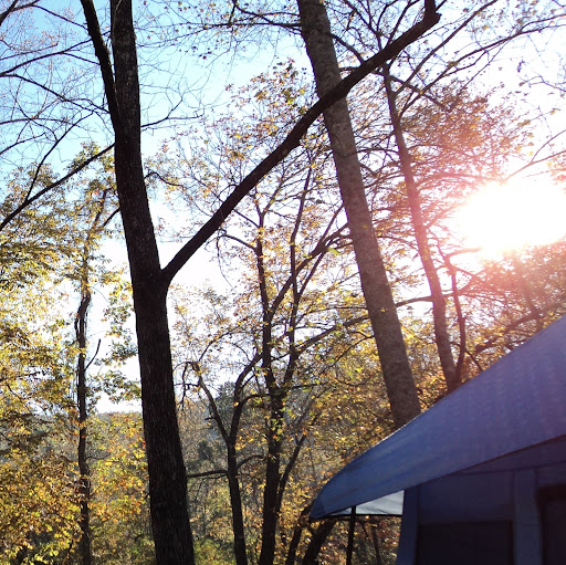 Annie Lewis Photo 16