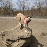 Amanda Maynard Photo 44