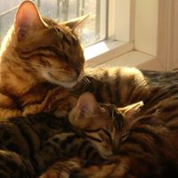 Debi Zimmerman Photo 9