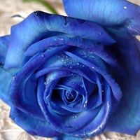 Victoria Garcia Photo 32