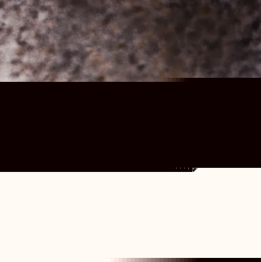 David Fender Photo 24