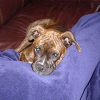 John Garrison Photo 26