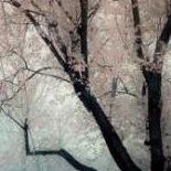Christine Amundson Photo 10