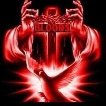 Shawn James Photo 17 Shawn James Photo 17