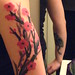 Megan Cherry Photo 17