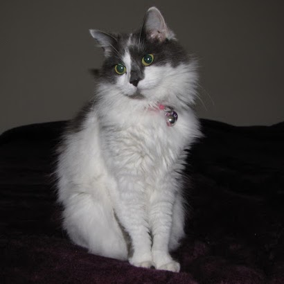 Steve Doughty Photo 37