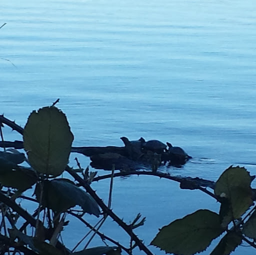 Christine Kirkland Photo 6