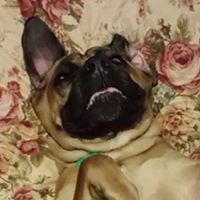 Debra Delaney Photo 9