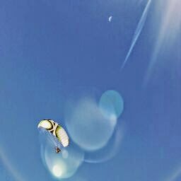 Steven Spencer Photo 28