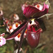 Gary Stowe Photo 17