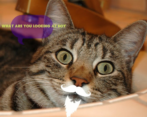 Rickey Graham Photo 7