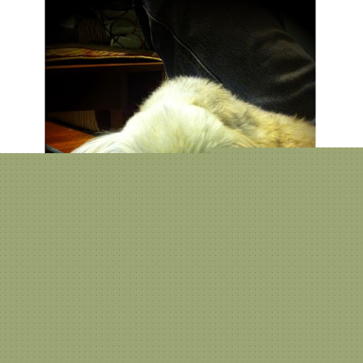 Mary Mcclintock Photo 14