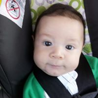 Memo Alvarado Photo 19