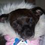 Kitty Robinson Photo 18