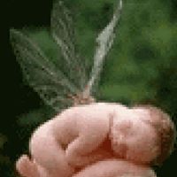 Jessie Stephens Photo 11