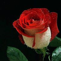 Kathy Landry Photo 24