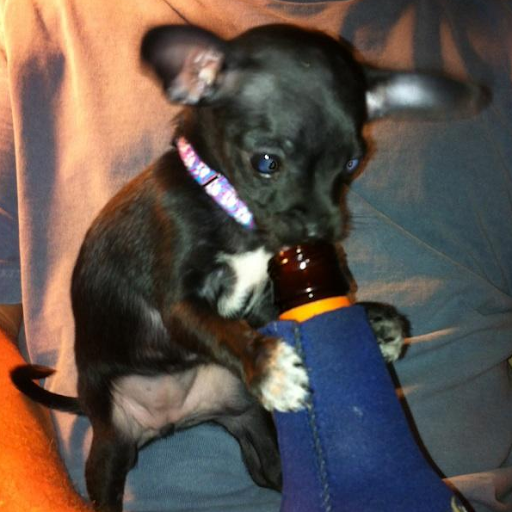 Ann Buckley Photo 33