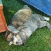 Ricky Gray Photo 12