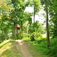 Quinton Johnson Photo 34