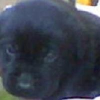 Cheryl Bane Photo 16