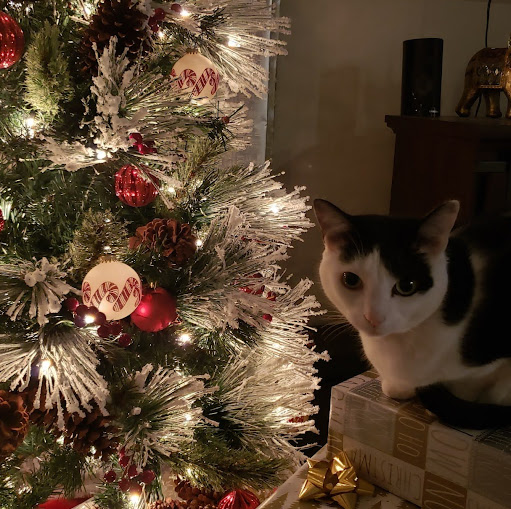 Karen Jackson Photo 12