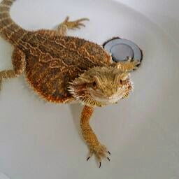 Thomas Craig Photo 35 Thomas Craig Photo 35