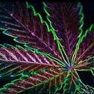 Christy Phipps Photo 6