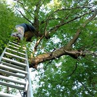 Teresa Lund Photo 29