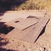 Doris Freund Photo 9