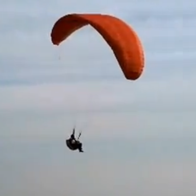 Jeremy Conrad Photo 38