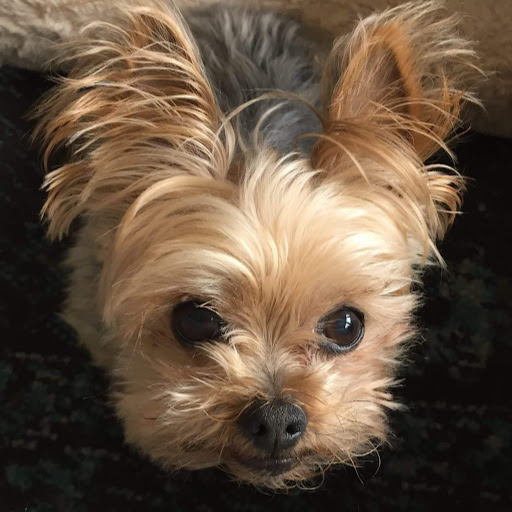 Kimberly Girard Photo 7