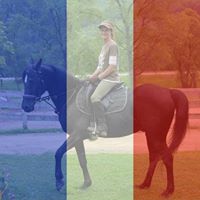 Dawn Swenson Photo 20