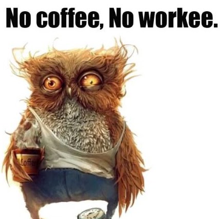 Marcia Sweet Photo 18