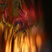 Michael Landers Photo 17