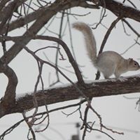 Susanne Ingels Photo 7