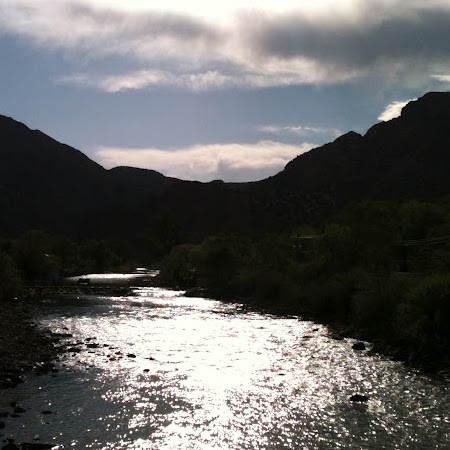 Julie Copeland Photo 45