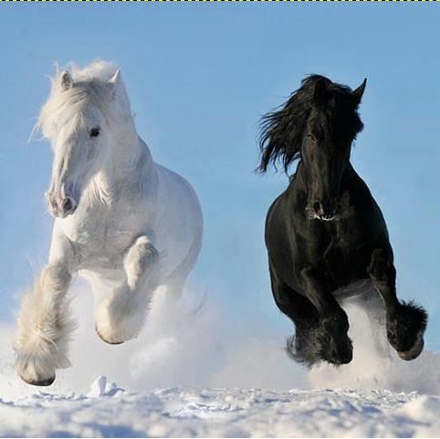 Sonya Watson Photo 18