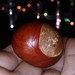 Carl Chestnut Photo 5