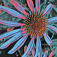 Gail Cullen Photo 13