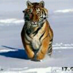 Richard Hawes Photo 34