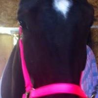 Julie Gillis Photo 32