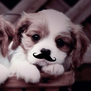 Julie Guzman Photo 30